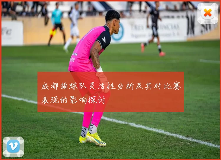 成都排球队灵活性分析及其对比赛表现的影响探讨