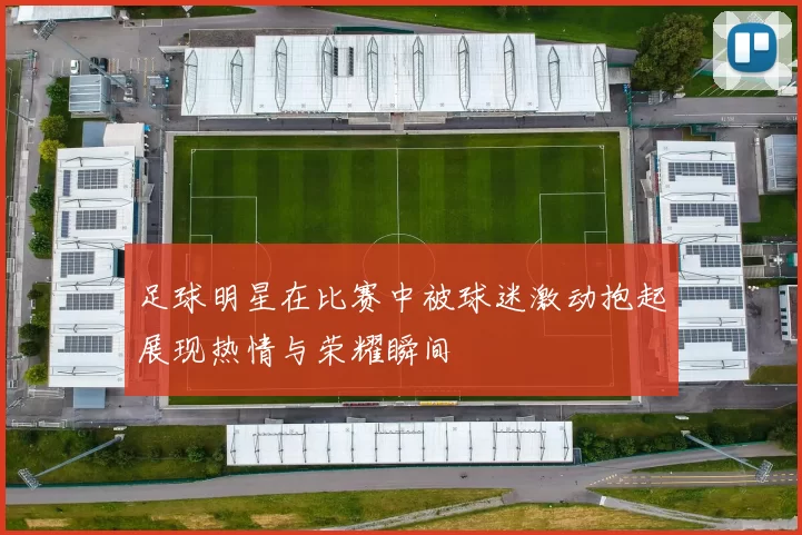 足球明星在比赛中被球迷激动抱起展现热情与荣耀瞬间