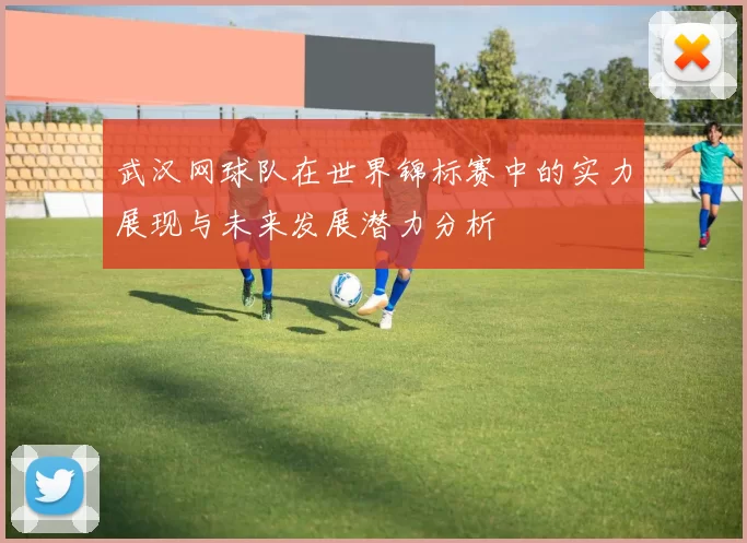 武汉网球队在世界锦标赛中的实力展现与未来发展潜力分析