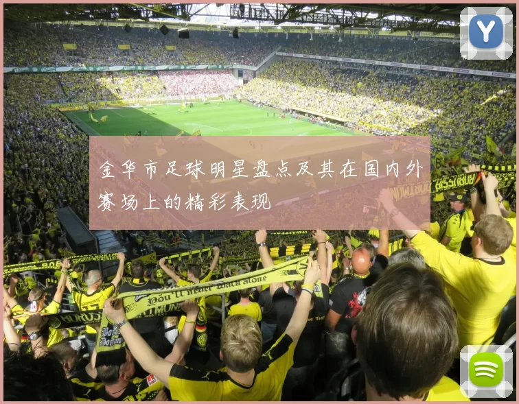 金华市足球明星盘点及其在国内外赛场上的精彩表现