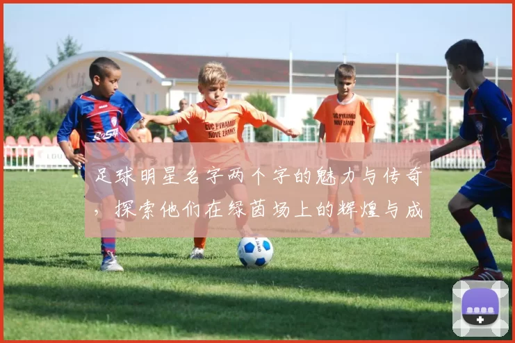 足球明星名字两个字的魅力与传奇，探索他们在绿茵场上的辉煌与成就